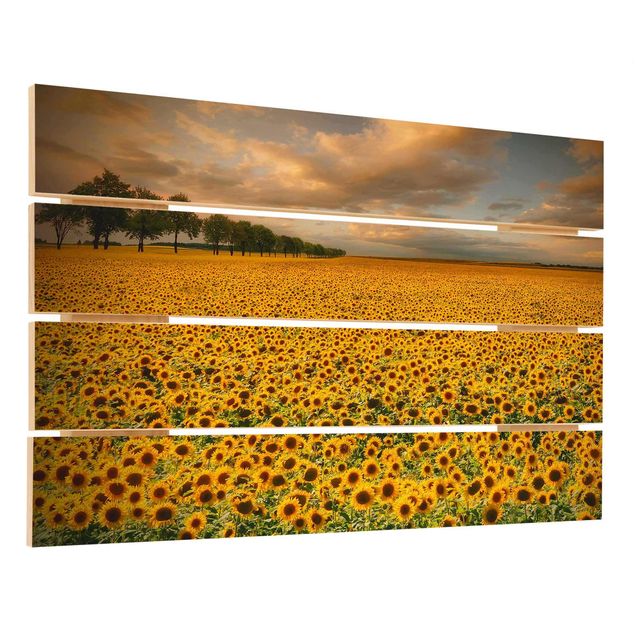 Holzbild - Feld mit Sonnenblumen - Querformat 2:3