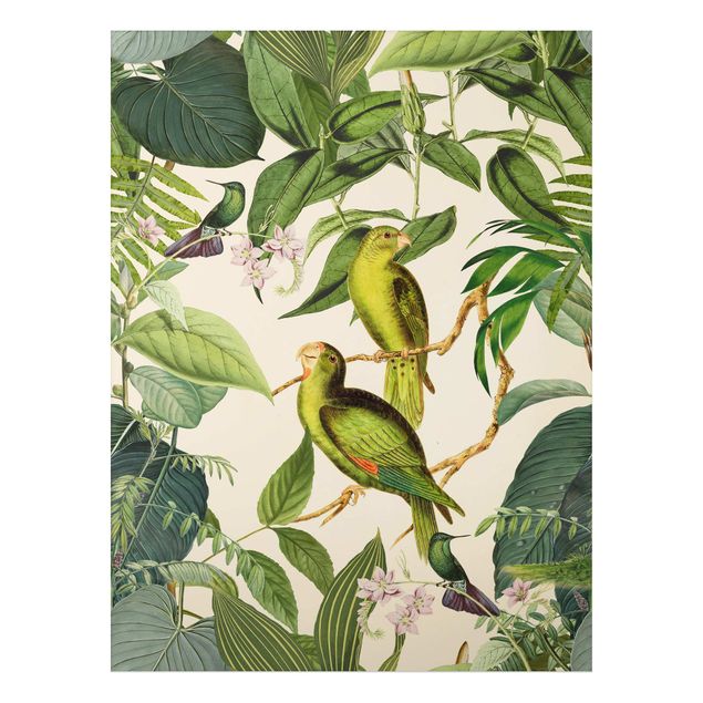 Alu Dibond Bilder Vintage Collage - Papageien im Dschungel
