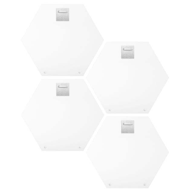 Hexagon Bild Forex 4-teilig - Jonas Loose - Giraffen Dino Kakadu Sport Set II