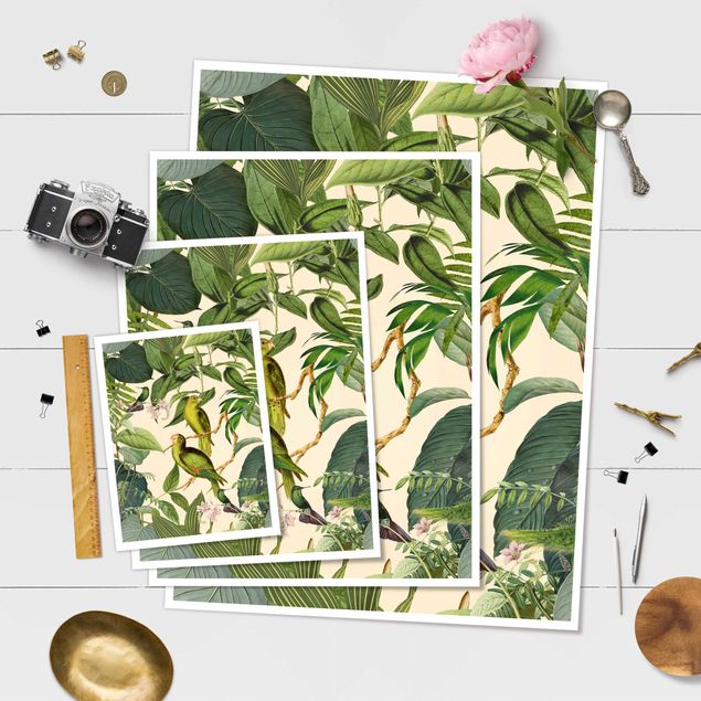 Poster - Vintage Collage - Papageien im Dschungel - Hochformat 4:3