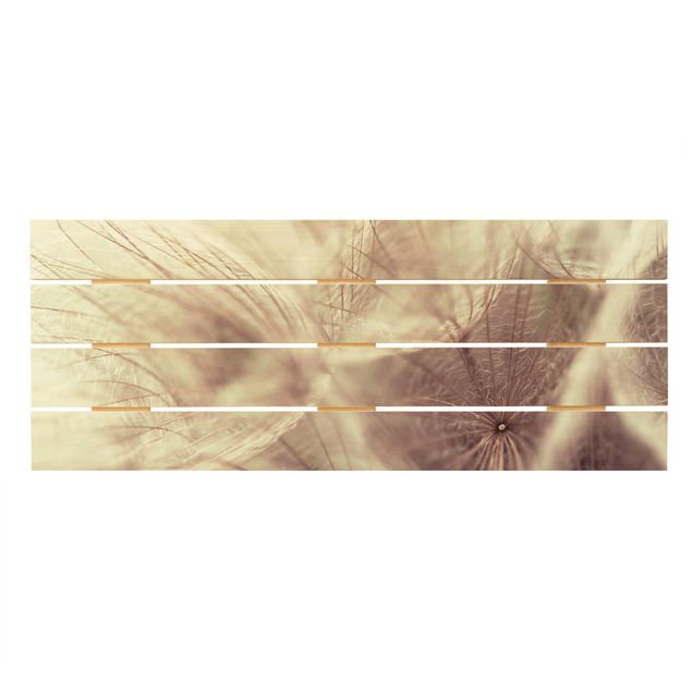 Holzbild - Detailreiche Pusteblumen Makroaufnahme mit Vintage Blur Effekt - Querformat 2:5