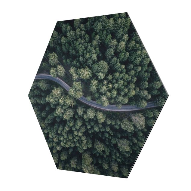 Hexagon Bild Alu-Dibond - Luftbild - Waldstraße von Oben