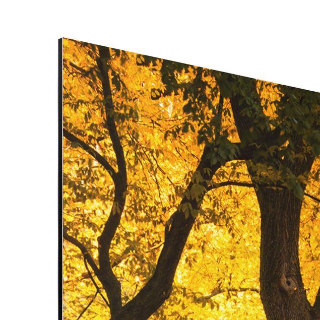 Alu-Dibond - Herbst im Central Park - Hochformat
