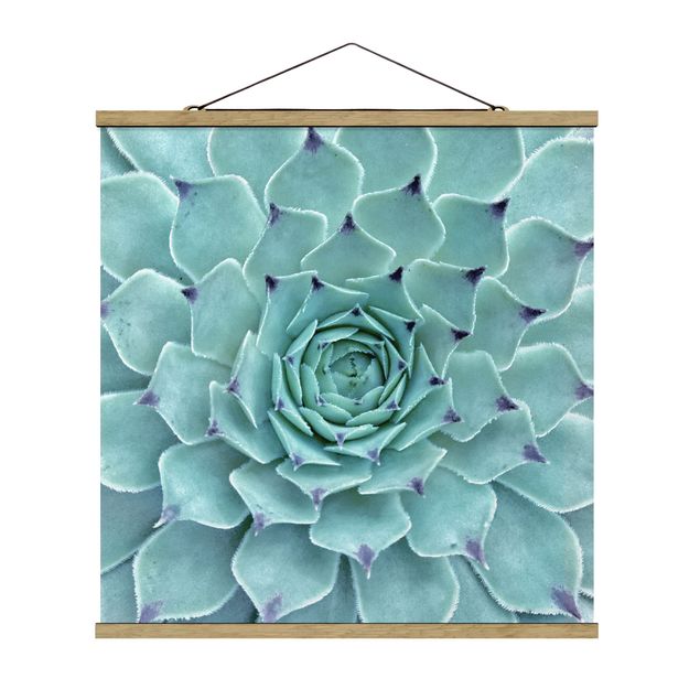 Stoffbild mit Posterleisten - Kaktus Agave - Quadrat 1:1