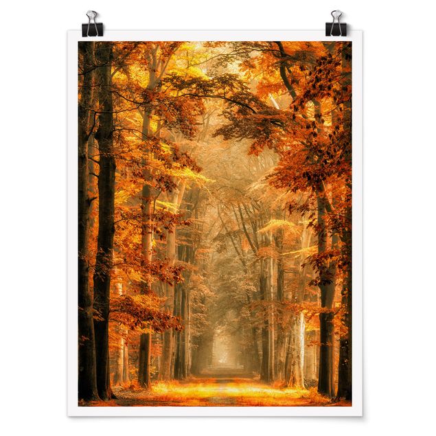 Wandbilder Märchenwald im Herbst