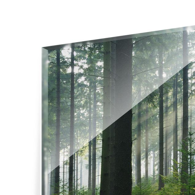 Spritzschutz Glas - Enlightened Forest - Querformat - 2:1