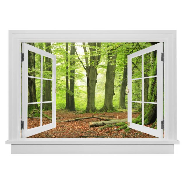 3D Wandtattoo - Offenes Fenster Mighty Beech Trees