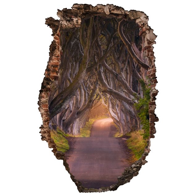 Wandtattoo Natur Tunnel aus Bäumen