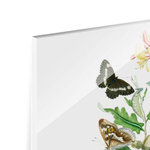 Glas Spritzschutz - Britische Schmetterlinge IV - Querformat - 4:3