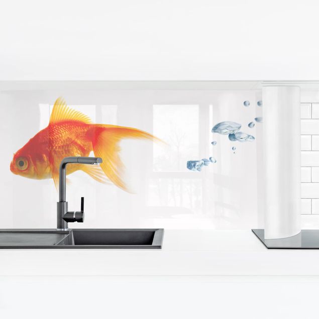 Küchenrückwand selbstklebend Goldfisch