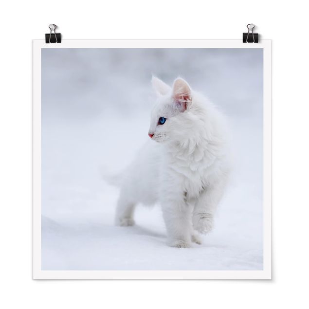 Tiere Poster Weiß wie Schnee
