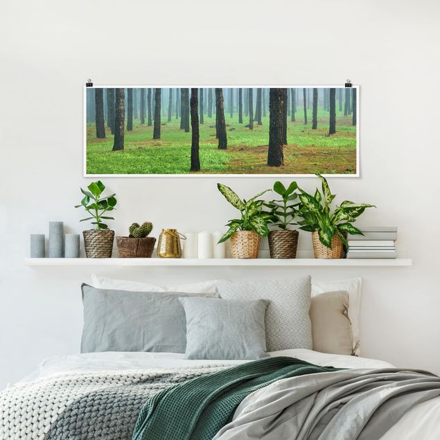 Poster Landschaft Tiefer Wald mit Kiefern auf La Palma