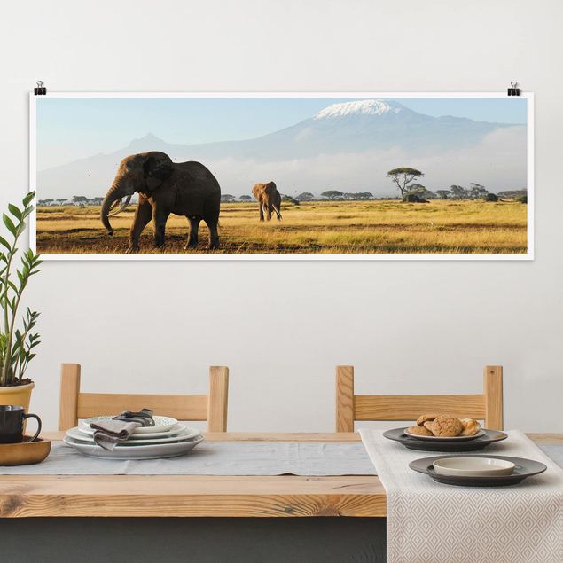 Poster Berge Elefanten vor dem Kilimanjaro in Kenya