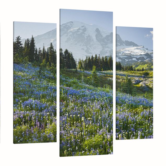 Rainer Mirau Bilder Bergwiese mit blauen Blumen vor Mt. Rainier