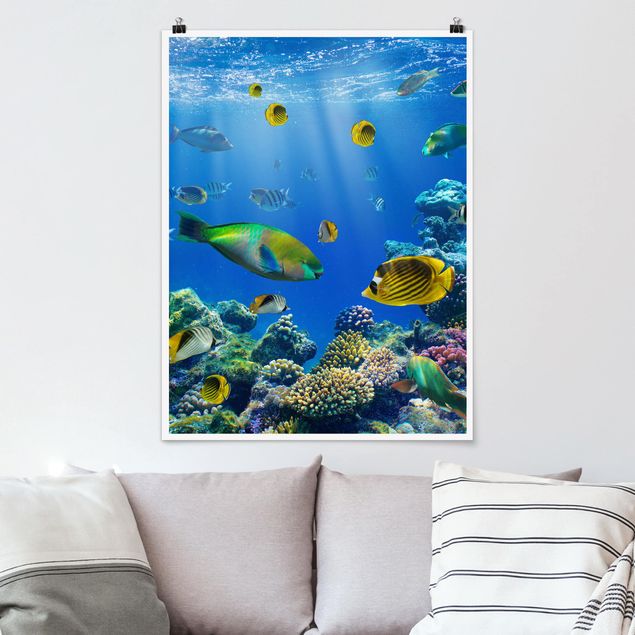 Poster Fische Underwater Lights
