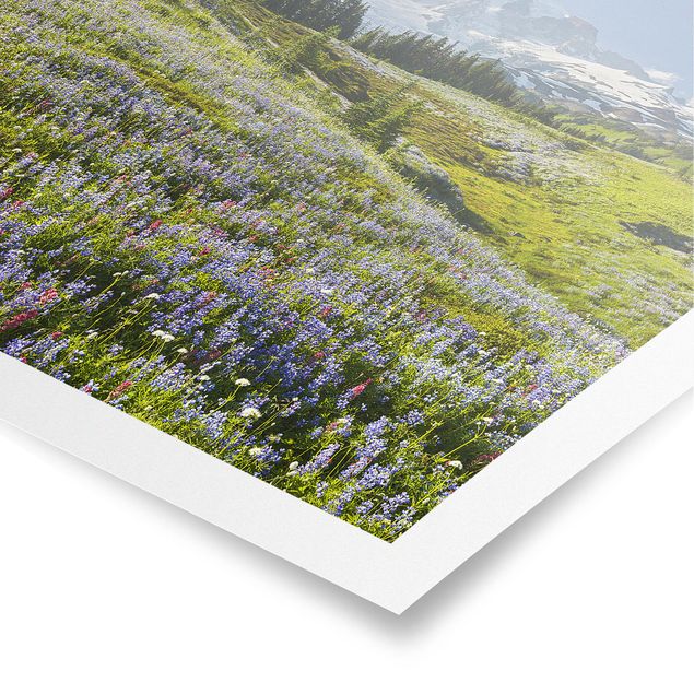 Blumen Poster Bergwiese mit roten Blumen vor Mt. Rainier