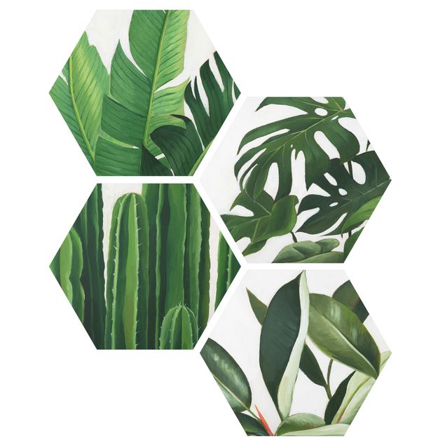 Hexagon Bild Forex 4-teilig - Lieblingspflanzen Tropical Set I
