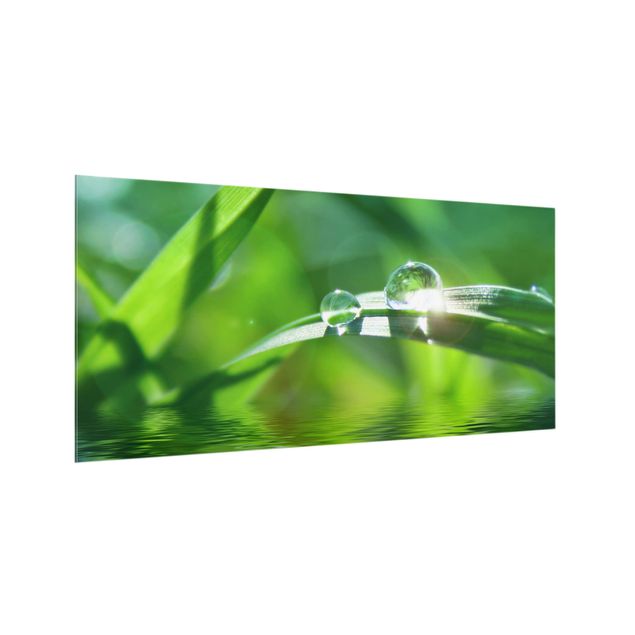 Spritzschutz Glas - Green Ambiance II - Querformat - 2:1
