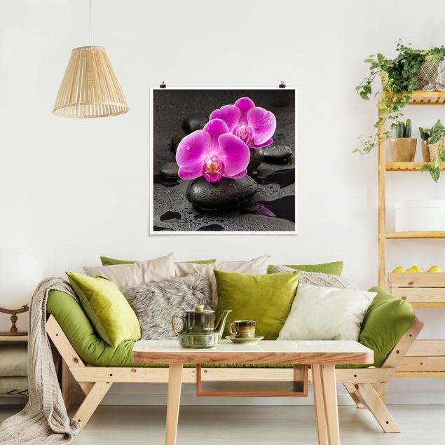 Poster mit Blumen Pinke Orchideenblüten auf Steinen mit Tropfen