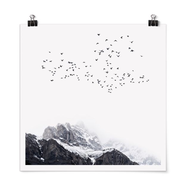 Poster Tiere Vogelschwarm vor Bergen Schwarz Weiß
