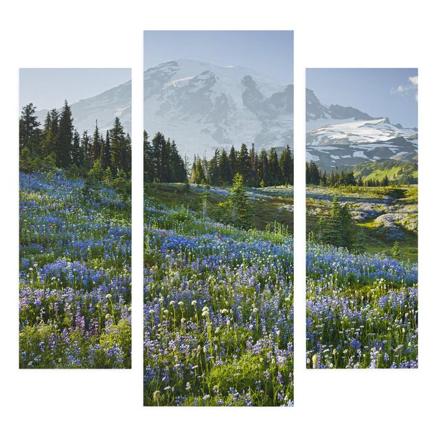 schöne Bilder Bergwiese mit blauen Blumen vor Mt. Rainier