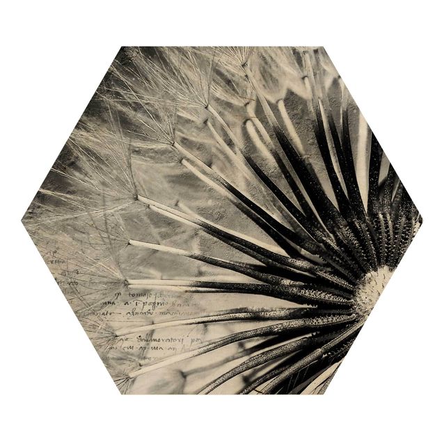 Hexagon Bild Holz - Pusteblume Schwarz & Weiß
