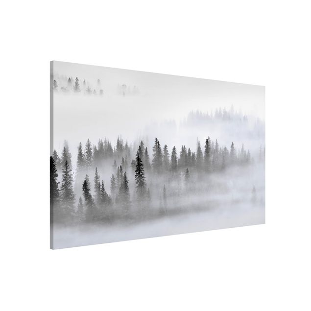 Magnettafel - Nebel im Tannenwald Schwarz-Weiß - Hochformat 3:2