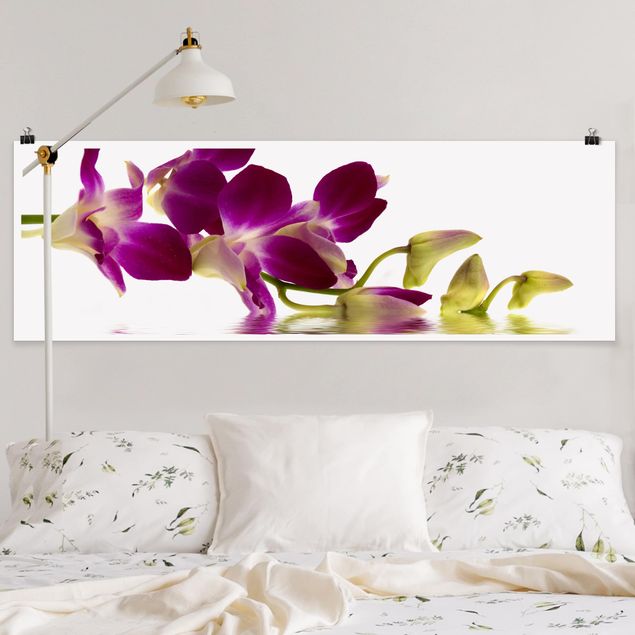 Riesenposter XXL Pink Orchid Waters