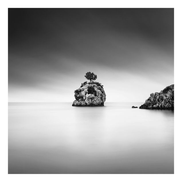 Küchenspritzschutz Felseninsel im Meer Schwarz-Weiß