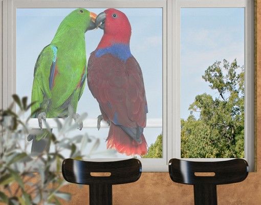 bunte Fensterfolie Verliebte Papageien