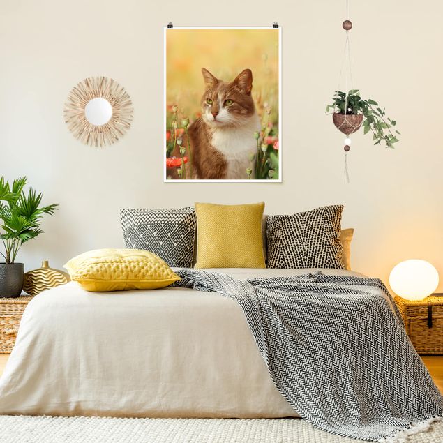 Poster Mohnblumen Katze im Mohnfeld