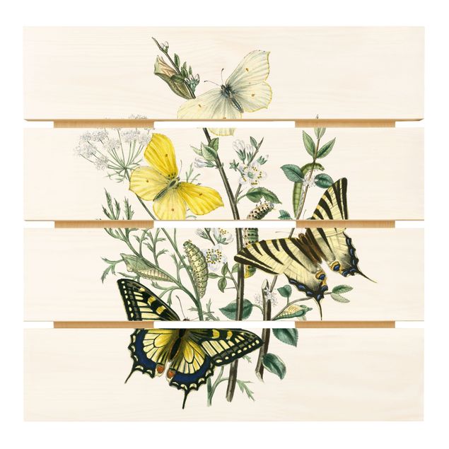 Holzbild - Britische Schmetterlinge III - Quadrat 1:1