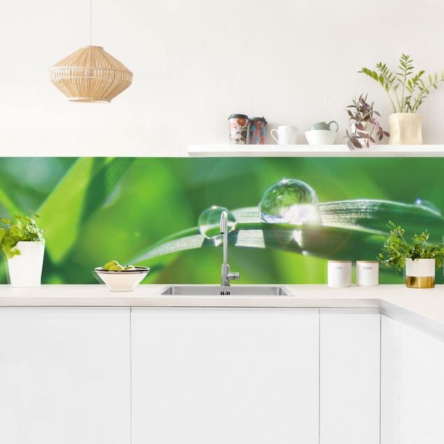 Küche Wandpaneel Green Ambiance II