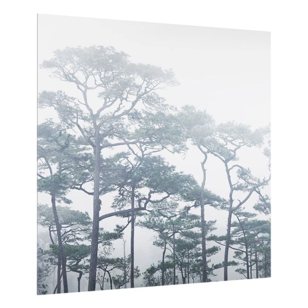 Spritzschutz Natur Baumkronen im Nebel