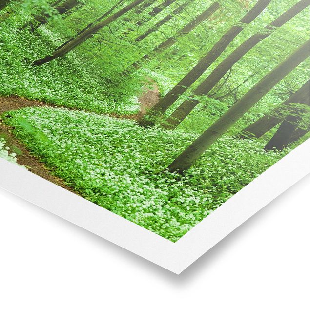 Poster - Romantischer Waldweg - Quadrat 1:1