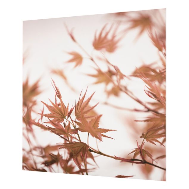 Spritzschutz Glas - Ahornblätter in Herbstsonne - Quadrat 1:1