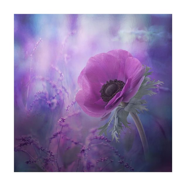 Teppich lila Anemonenblüte in Violett