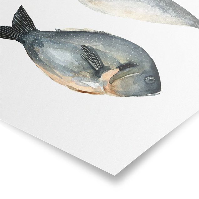 Poster kaufen Vier Fische in Aquarell I