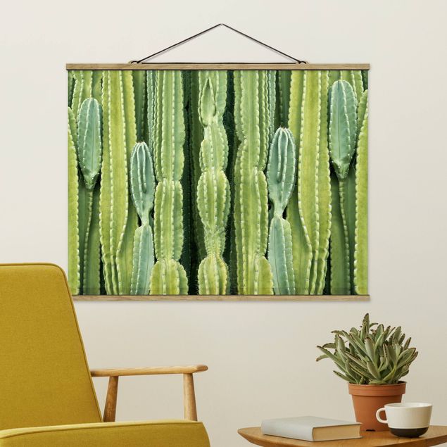 Bilder Kaktus Wand