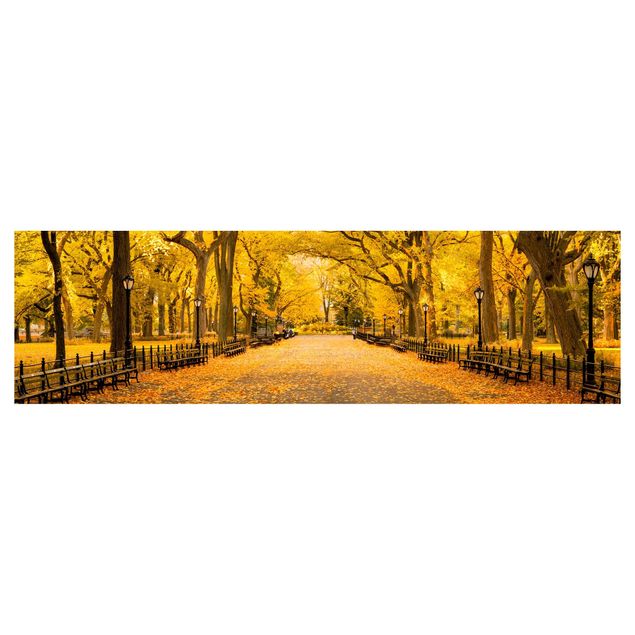 Küchenrückwand Motiv Herbst im Central Park
