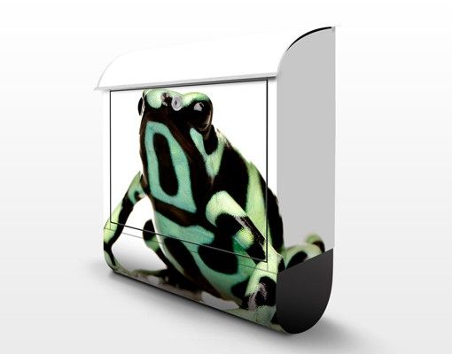 Briefkasten mit Zeitungsfach - Zebra Frog - Briefkasten mit Tiermotiv
