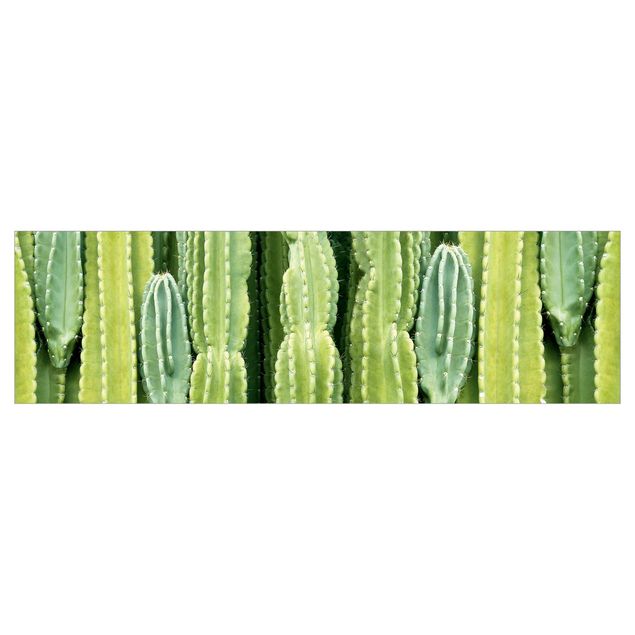 Motiv Küchenrückwand Kaktus Wand