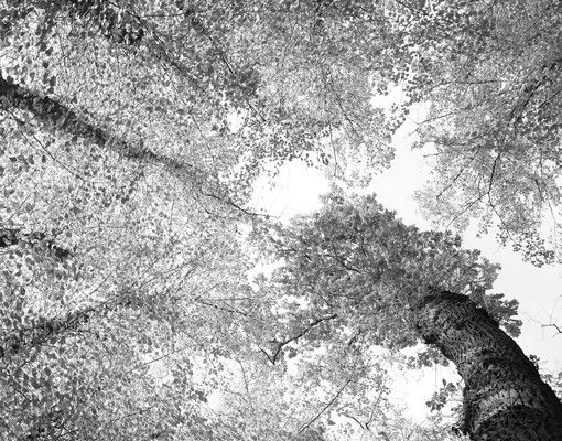 Wandbriefkasten - Bäume des Lebens II - Briefkasten Grau