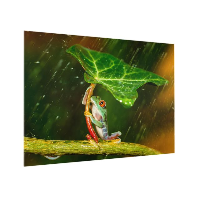 Küchenspritzschutz Ein Frosch im Regen