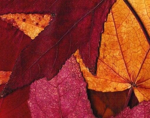 Wandbriefkasten - Coloured Leaves - Briefkasten Rot