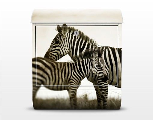 Briefkasten mit Zeitungsfach - Zebrapaar - Briefkasten mit Tiermotiv