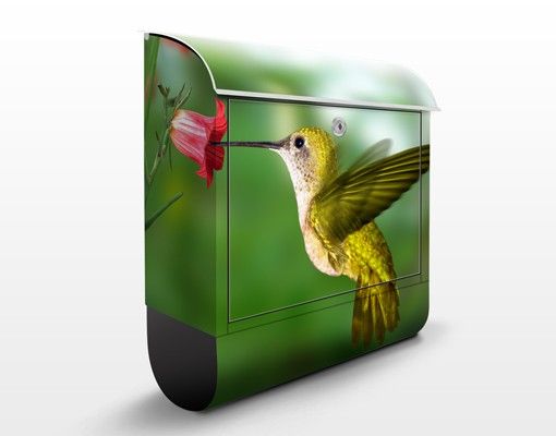 Briefkasten Tier Kolibri und Blüte