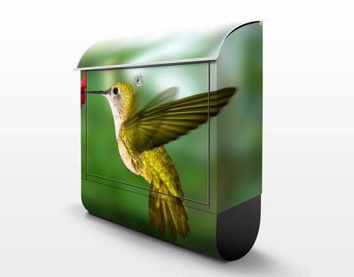 Briefkasten Design Kolibri und Blüte