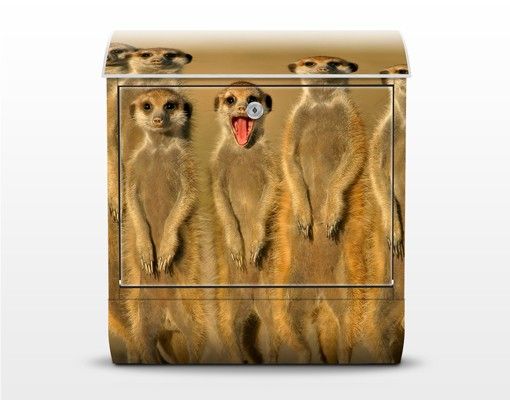 Design Briefkasten Meerkat Family