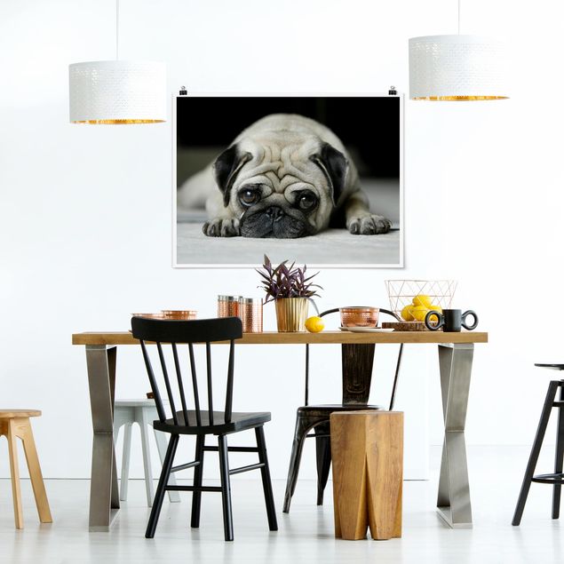 Poster Tiere Pug Loves You